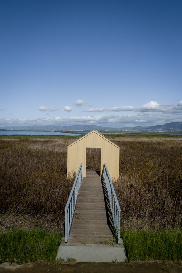 Alviso dock 2-7-10.jpg