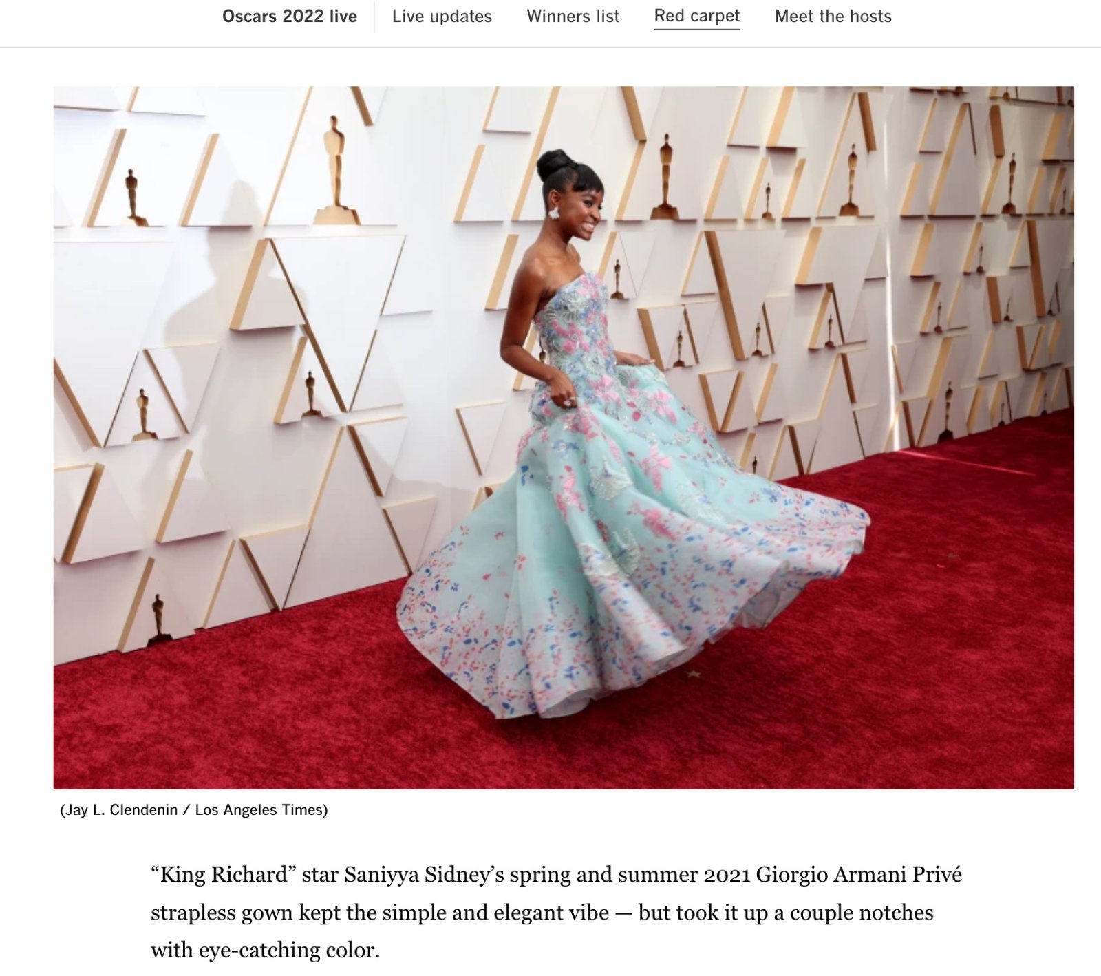 best dress 2022 oscars - SPRING !.jpg