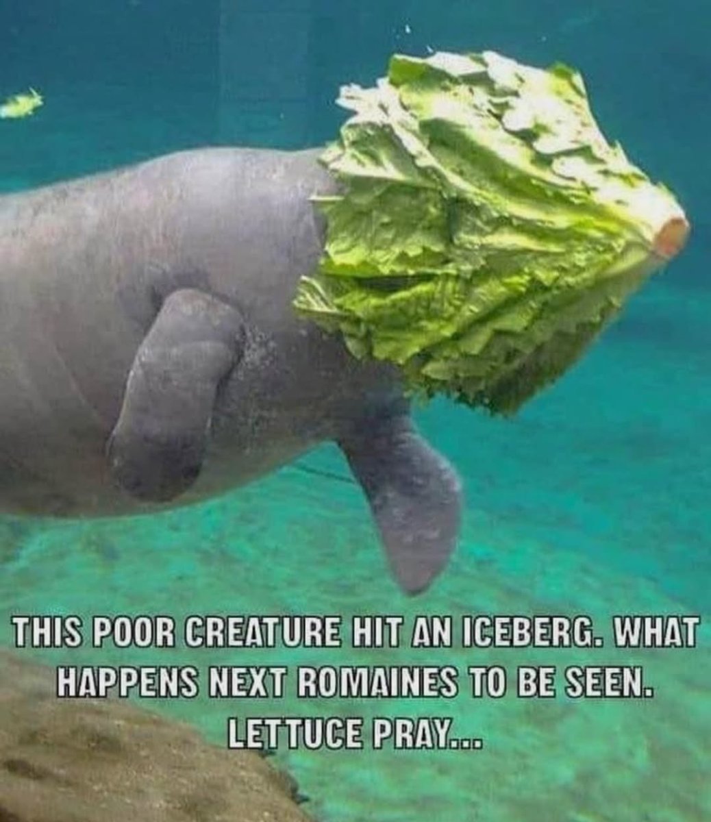 Caesar.jpg