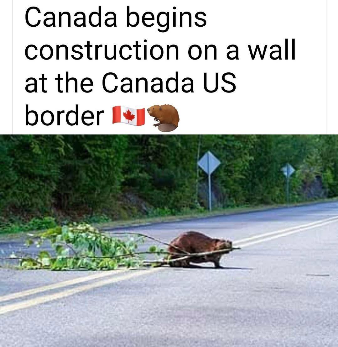 Canadian wall.jpg