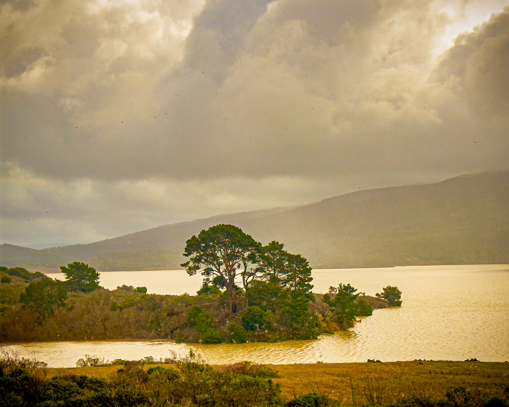 Canda Road - Crystal Springs Reservoir_.jpg