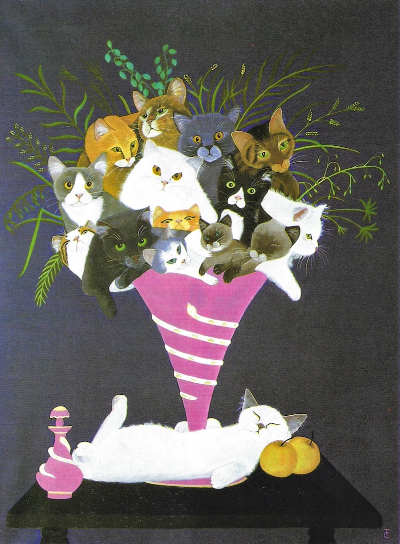 Cats.jpeg