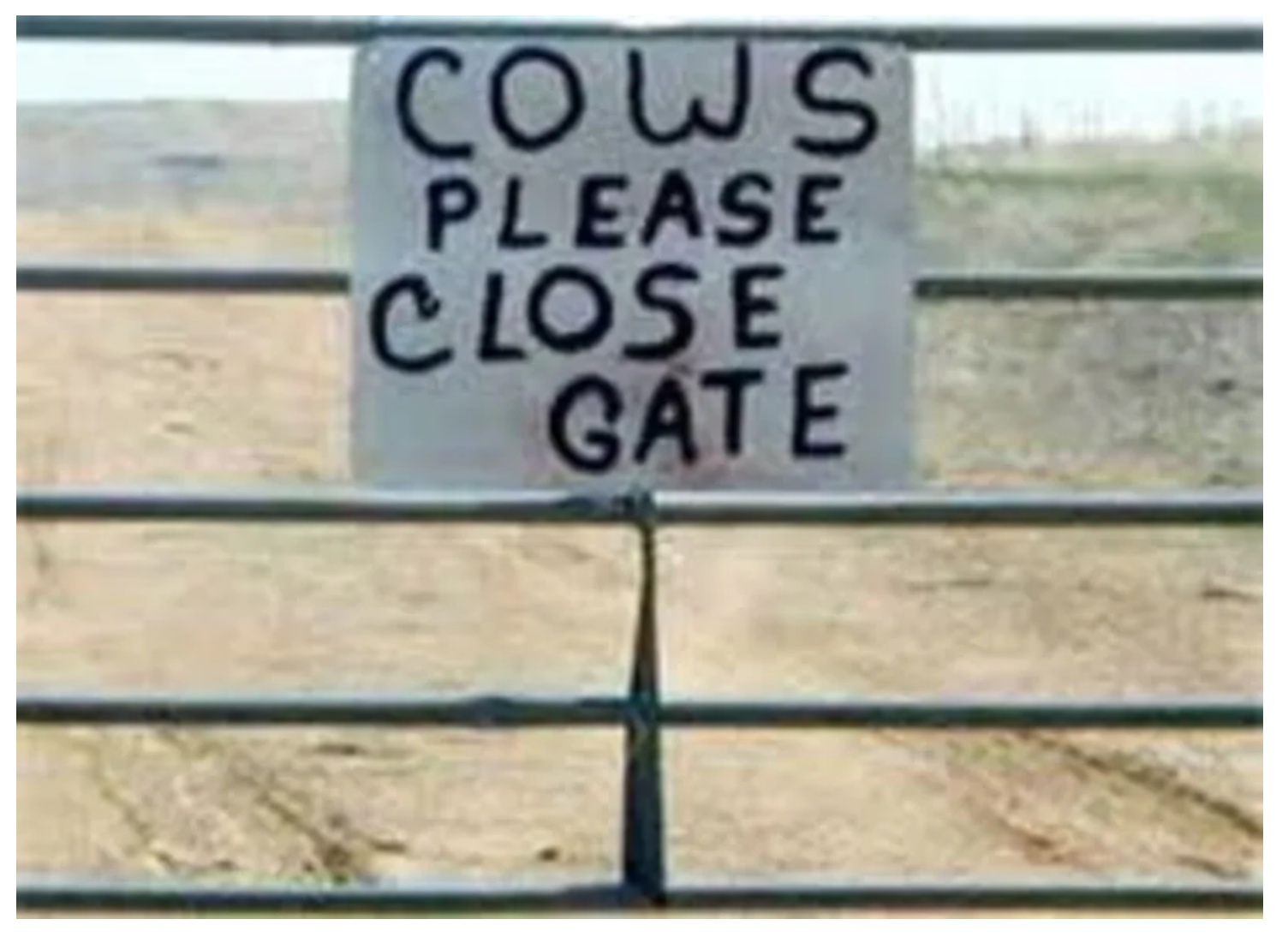 Cows Please Close Gate.jpg