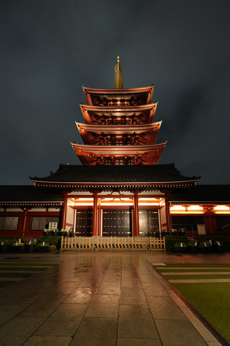 DSC08206.JPG