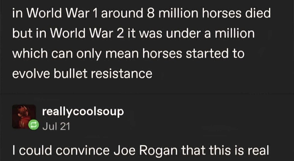 horsesofwar.jpg