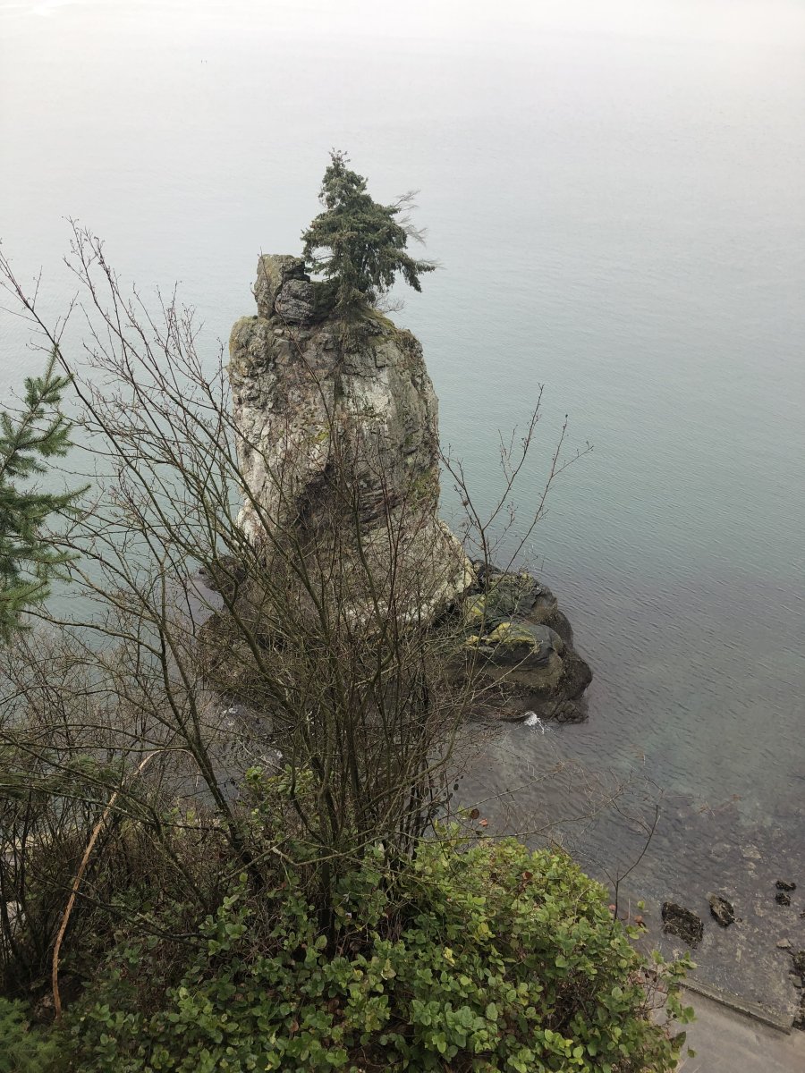IMG_0040.jpeg