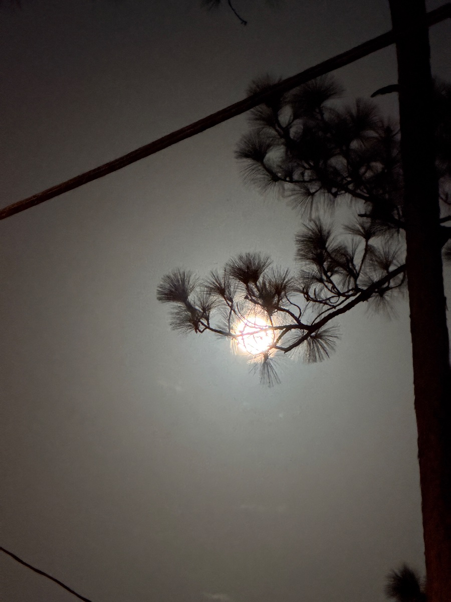 IMG_0073.jpeg
