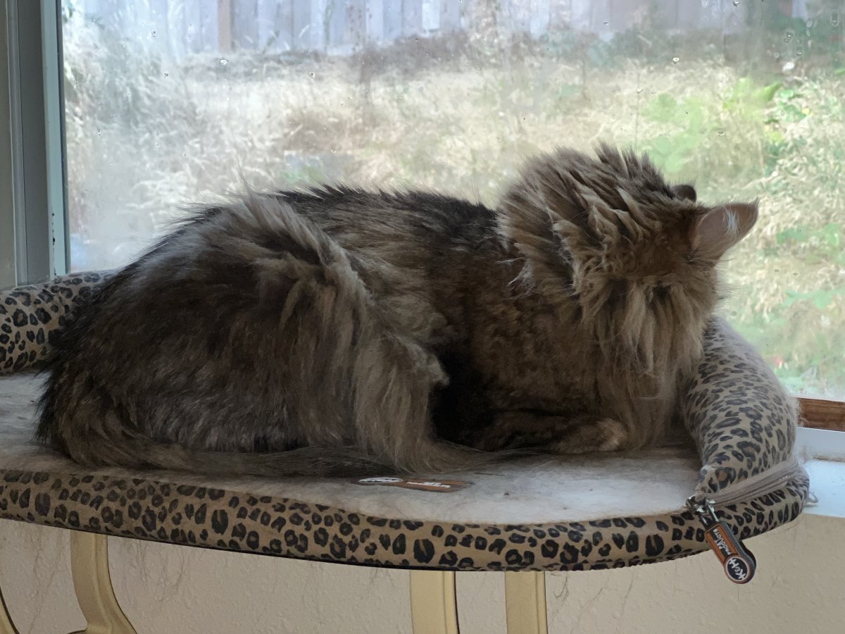IMG_0150.jpeg