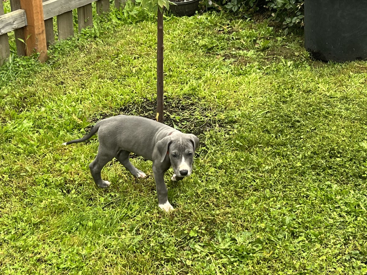 IMG_0247.jpeg