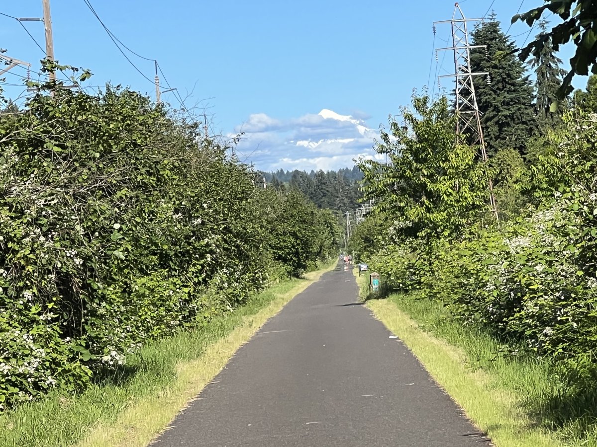 IMG_0266.jpeg