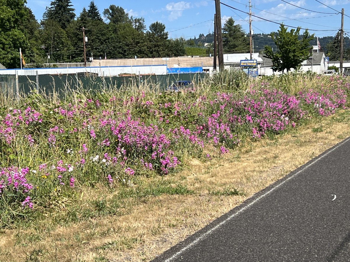 IMG_0361.jpeg