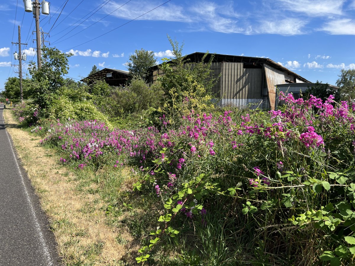 IMG_0362.jpeg