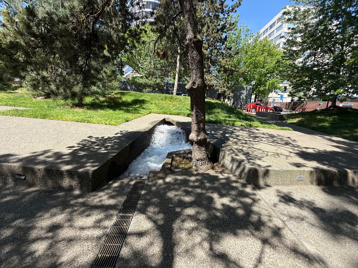 IMG_0876.jpeg