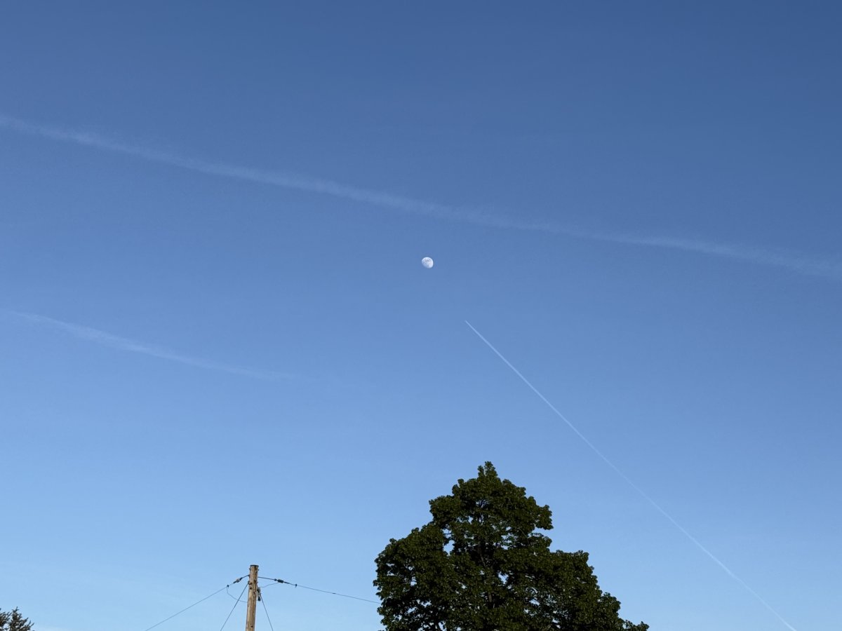 IMG_0881.jpeg