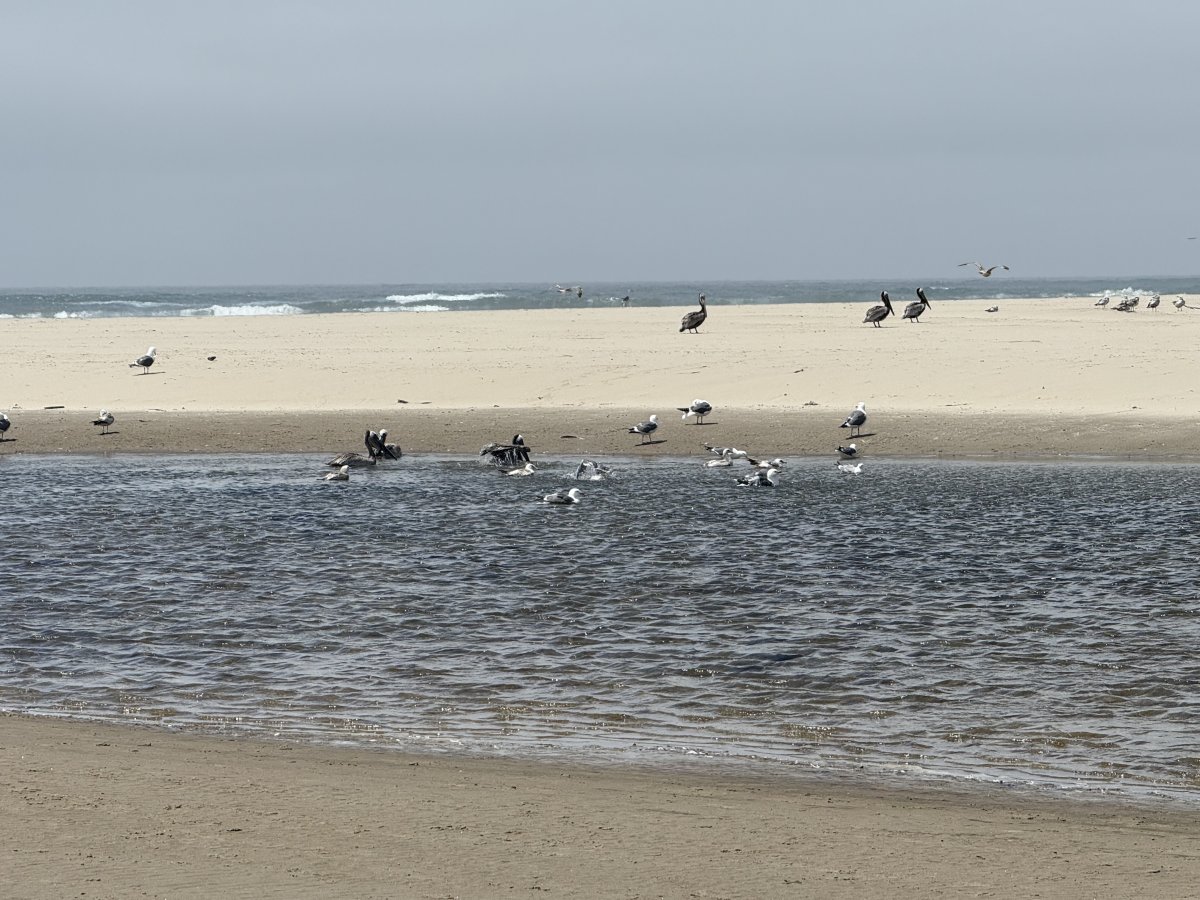 IMG_1043.jpeg