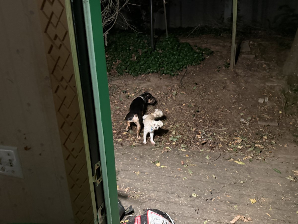 IMG_1271.jpeg