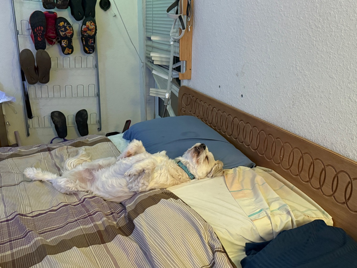 IMG_1277.jpeg