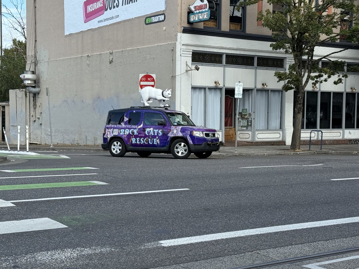 IMG_1343.jpeg