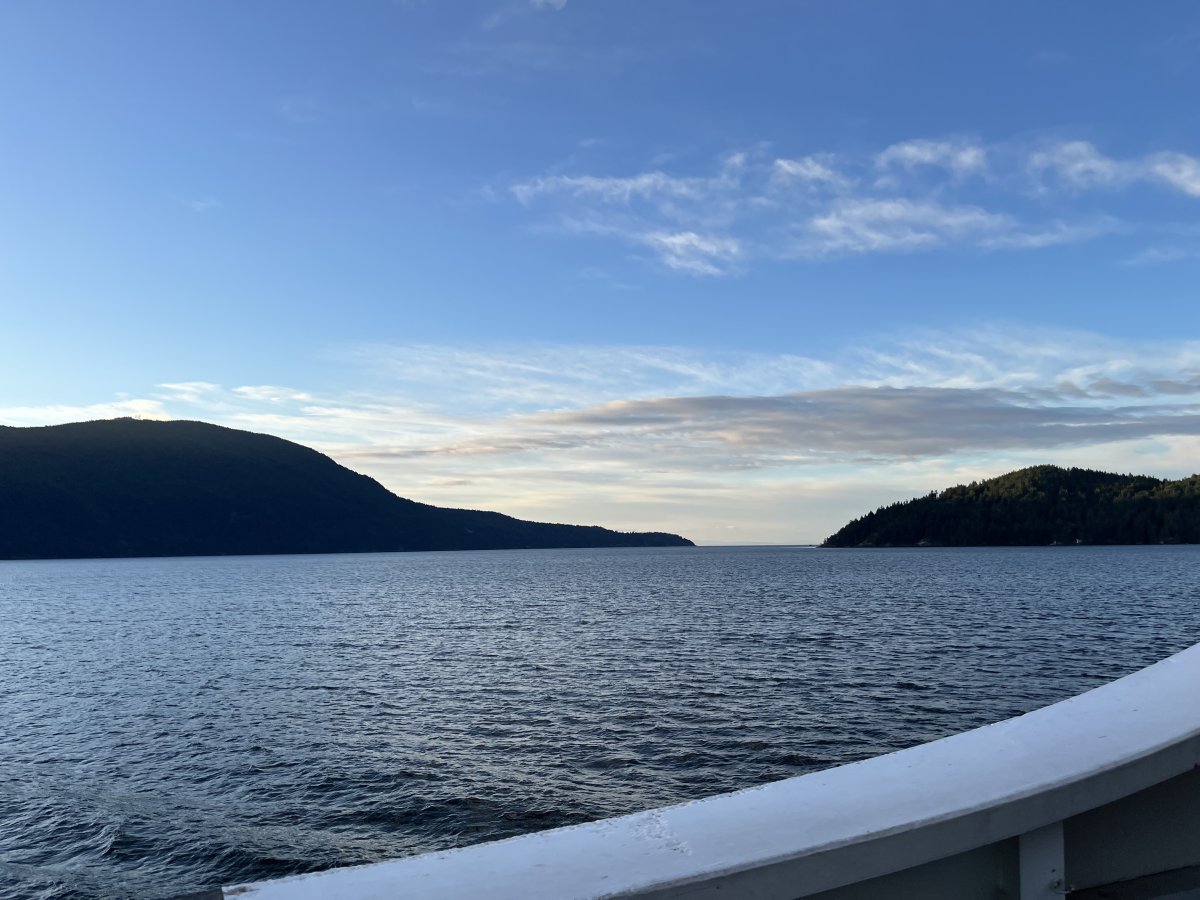 IMG_2022.jpeg