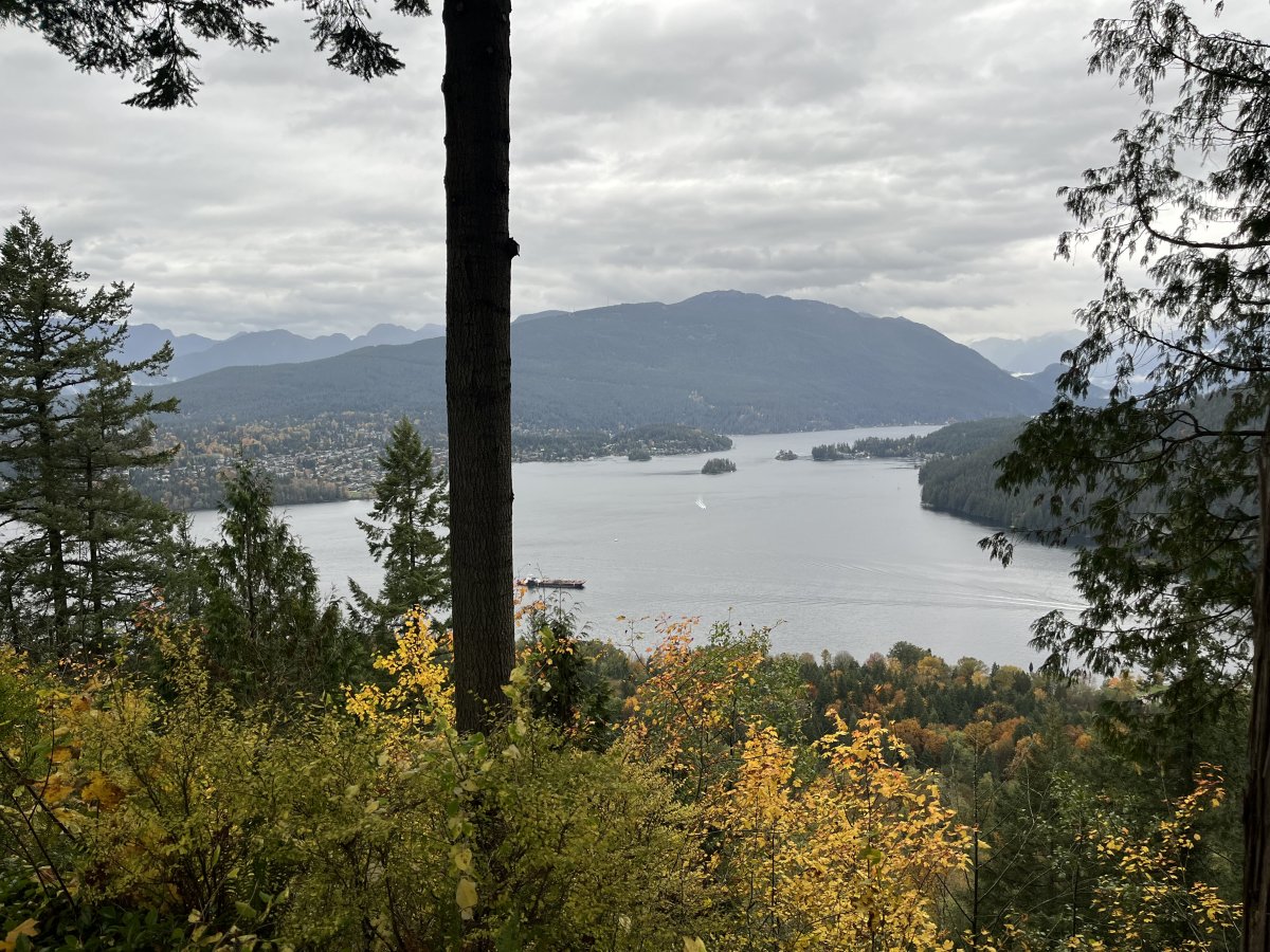 IMG_2071.jpeg