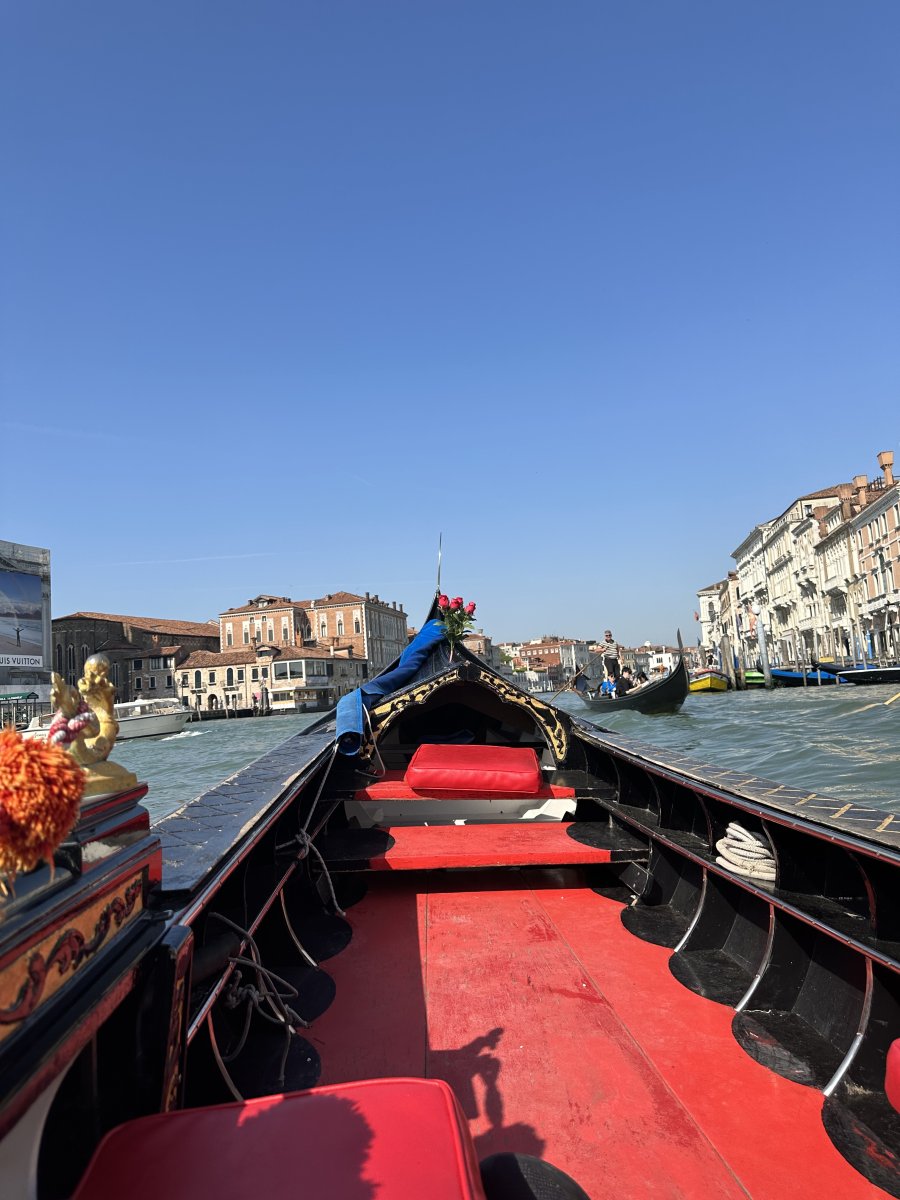IMG_3764.jpeg