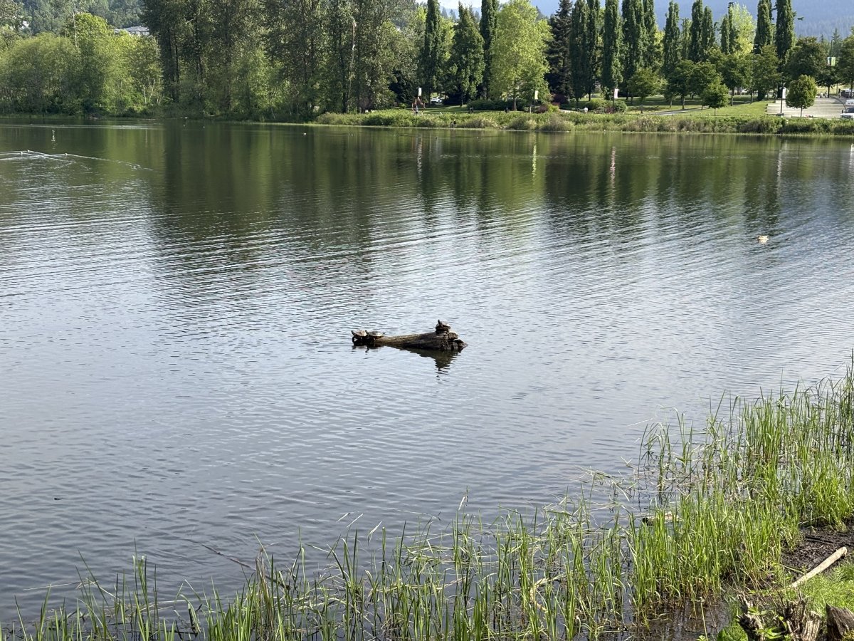 IMG_4272.jpeg