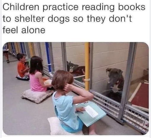 kids_dogs.png