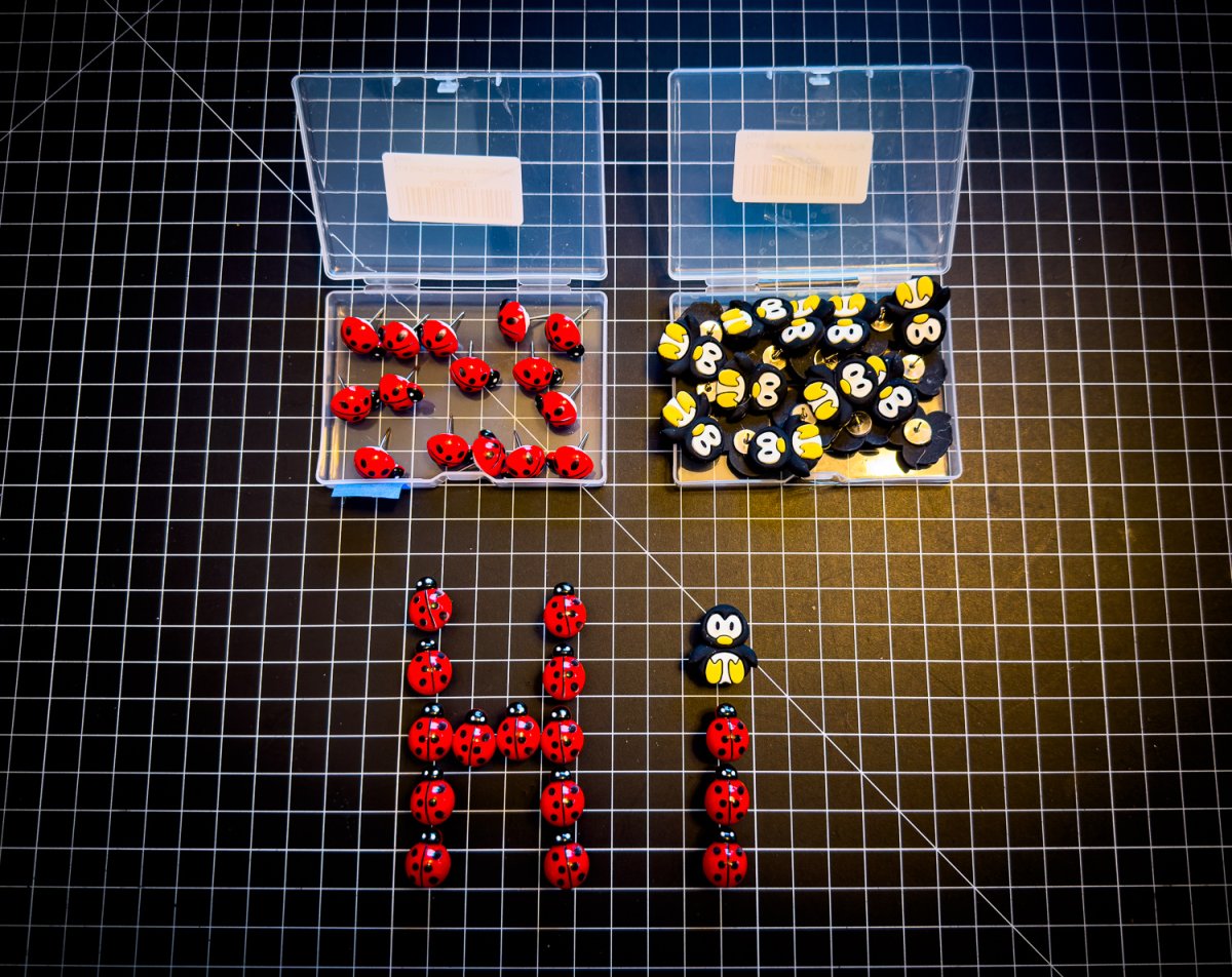 Ladybug push pins.jpg