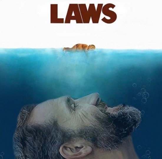 laws sm.jpg