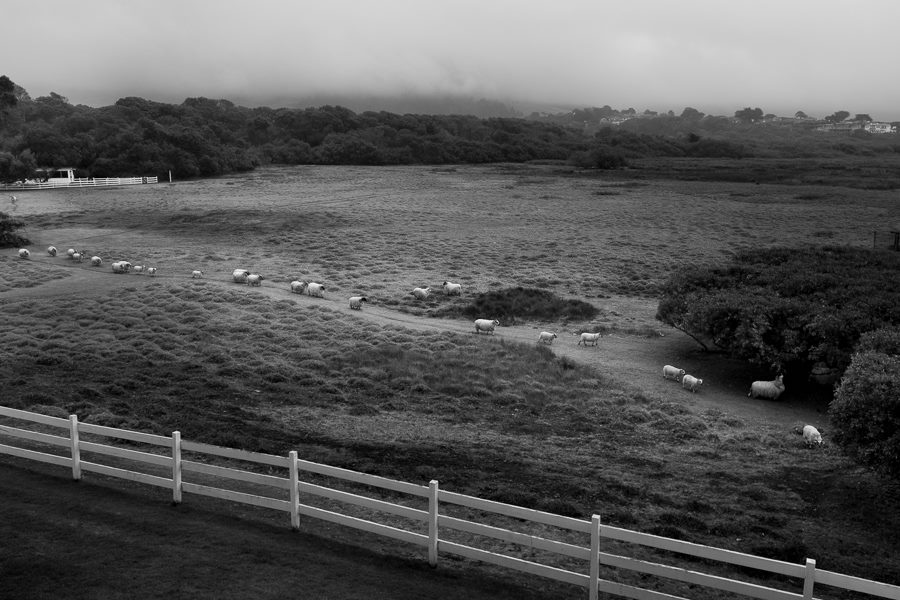 Mission Ranch - Carmel.jpg