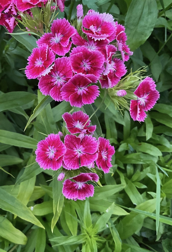 NzAbgkZsTsGQXU87qxEIaQ_thumb_5910.jpg
