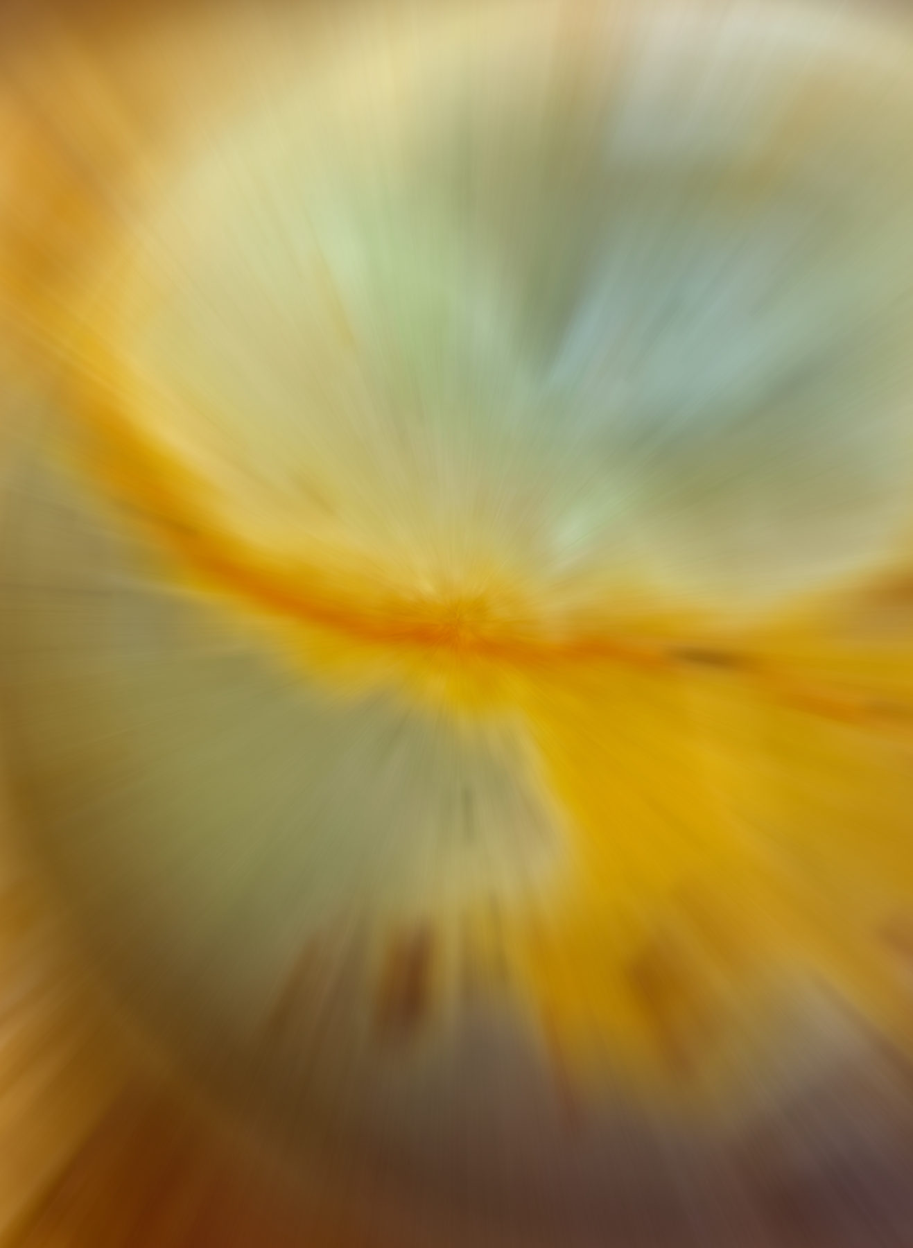 Orange and Green Zoom Transition.jpg