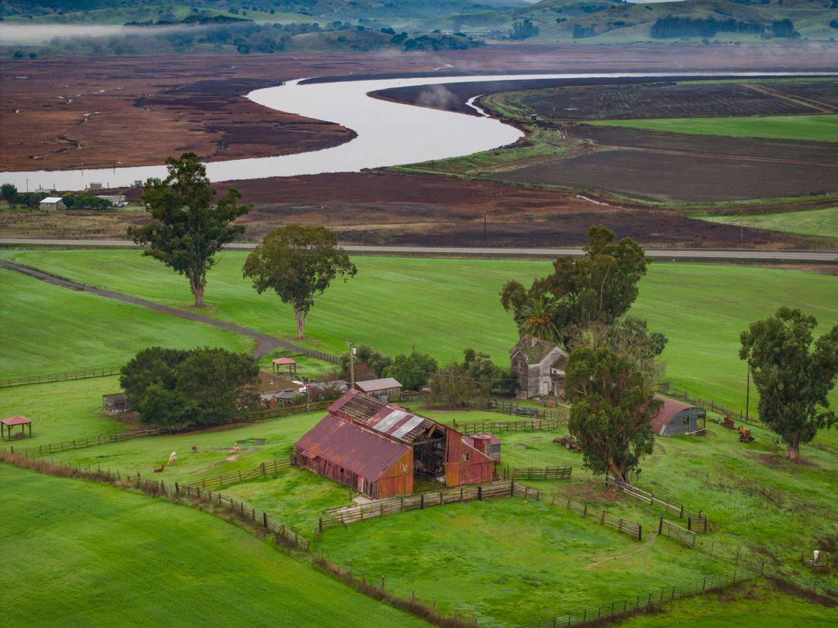 Petaluma_River_web.jpg