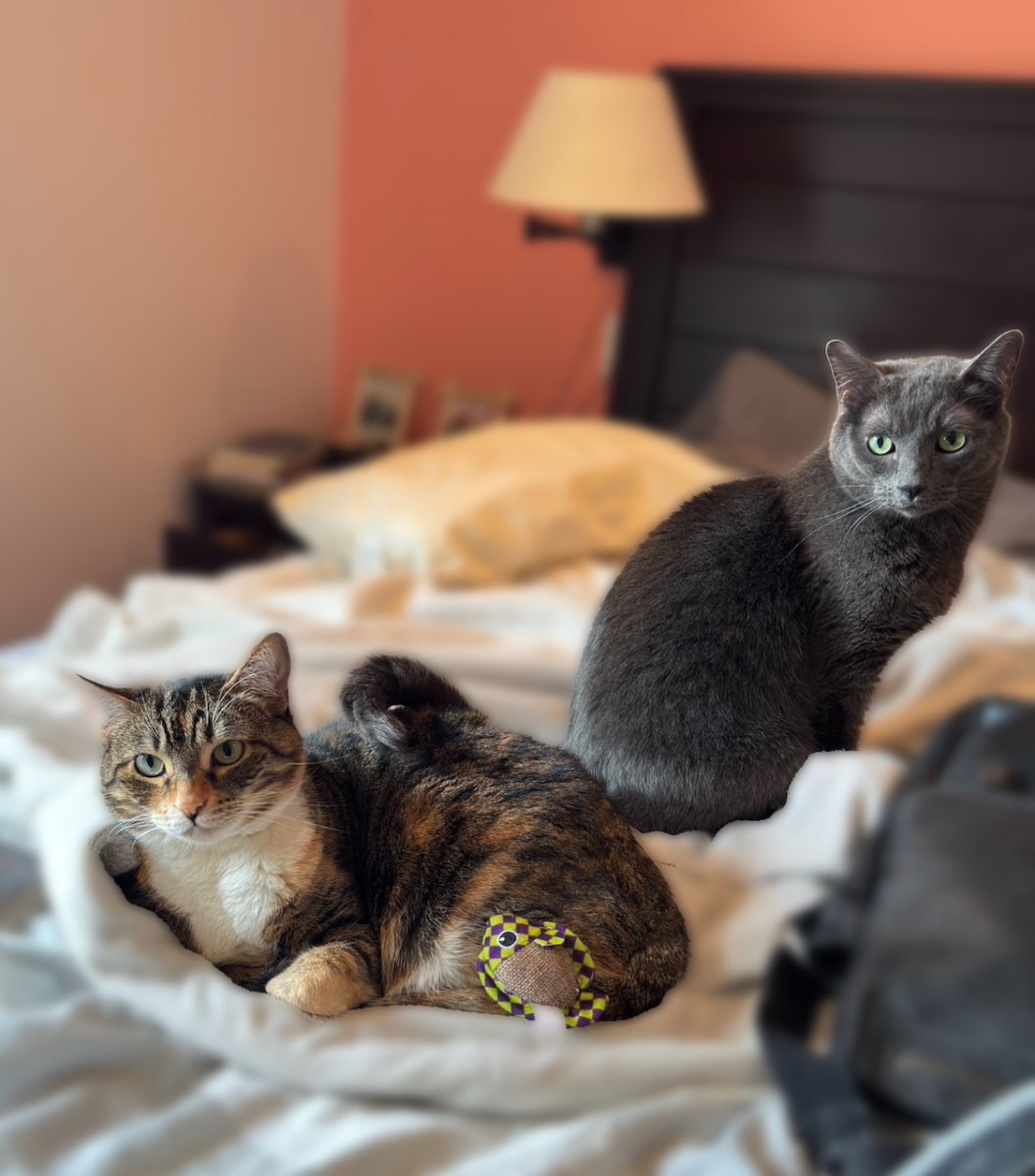 POTD April - 1 (1)_a.jpeg