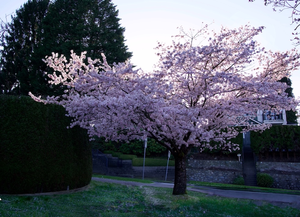 POTD April - 1_a 2.jpeg