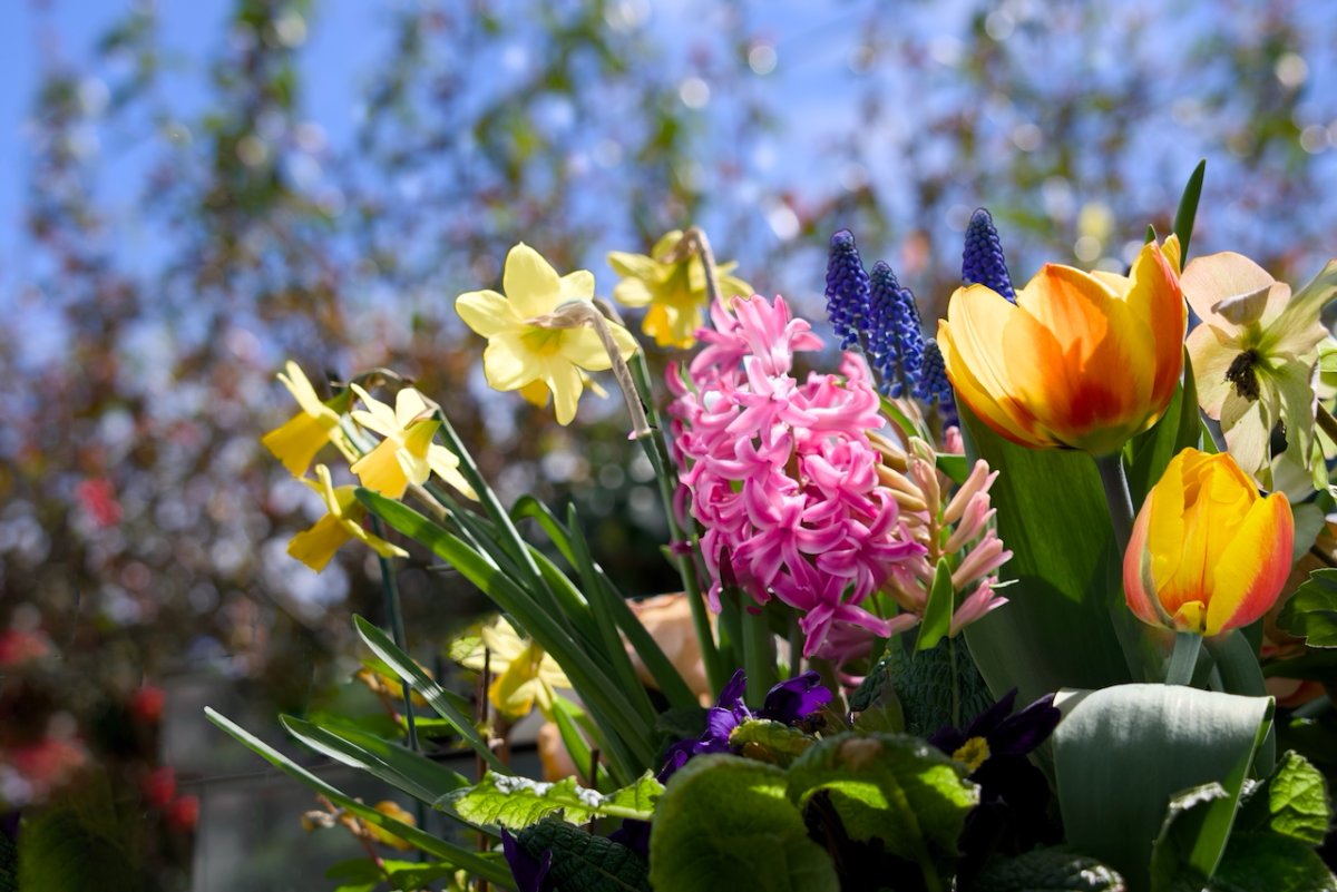 POTD April - 1_a.jpeg