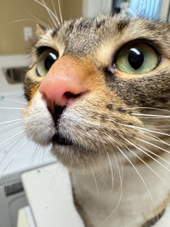 POTD April - 1_a.jpeg