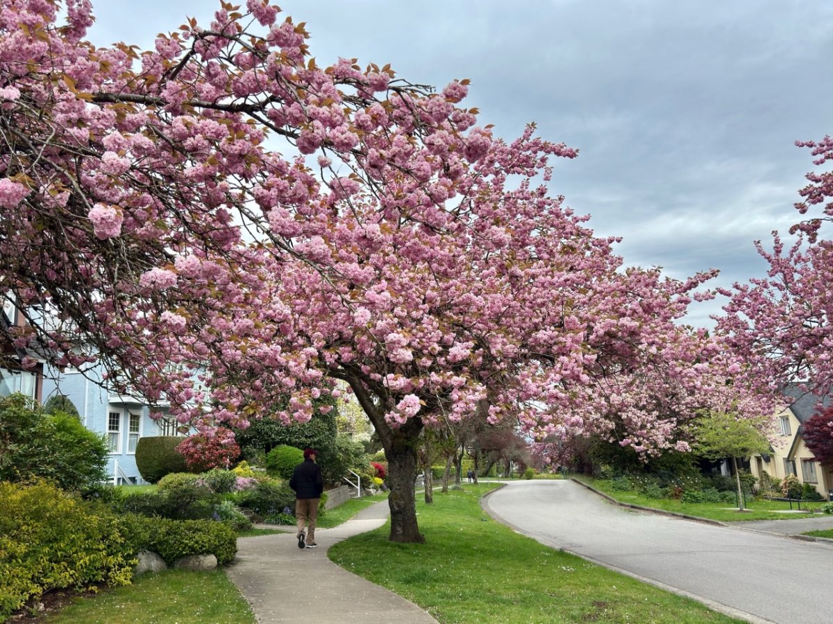 POTD April - 1_a.jpeg