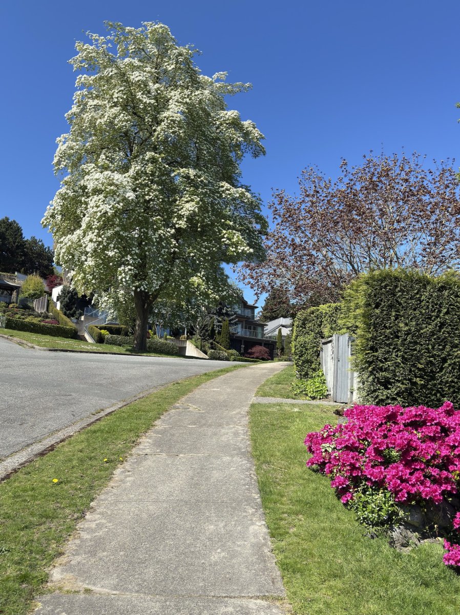 POTD April - 1_a.jpg