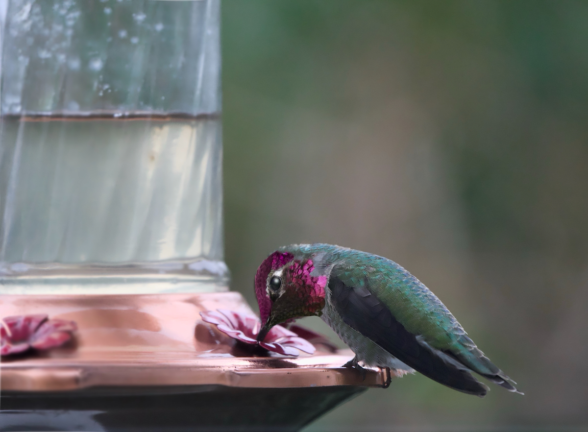 POTD December - 1_a.jpeg