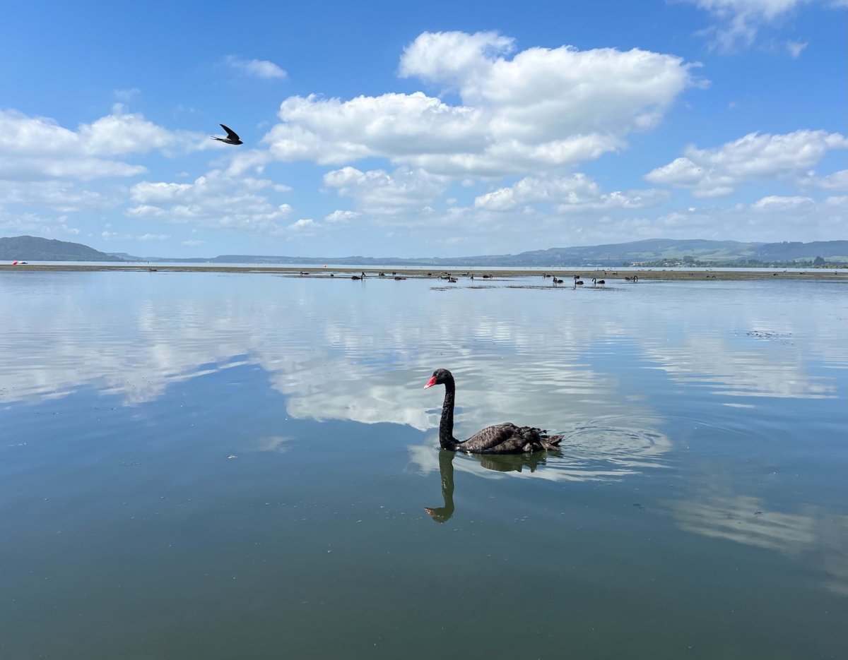 POTD December - 1_a.jpeg