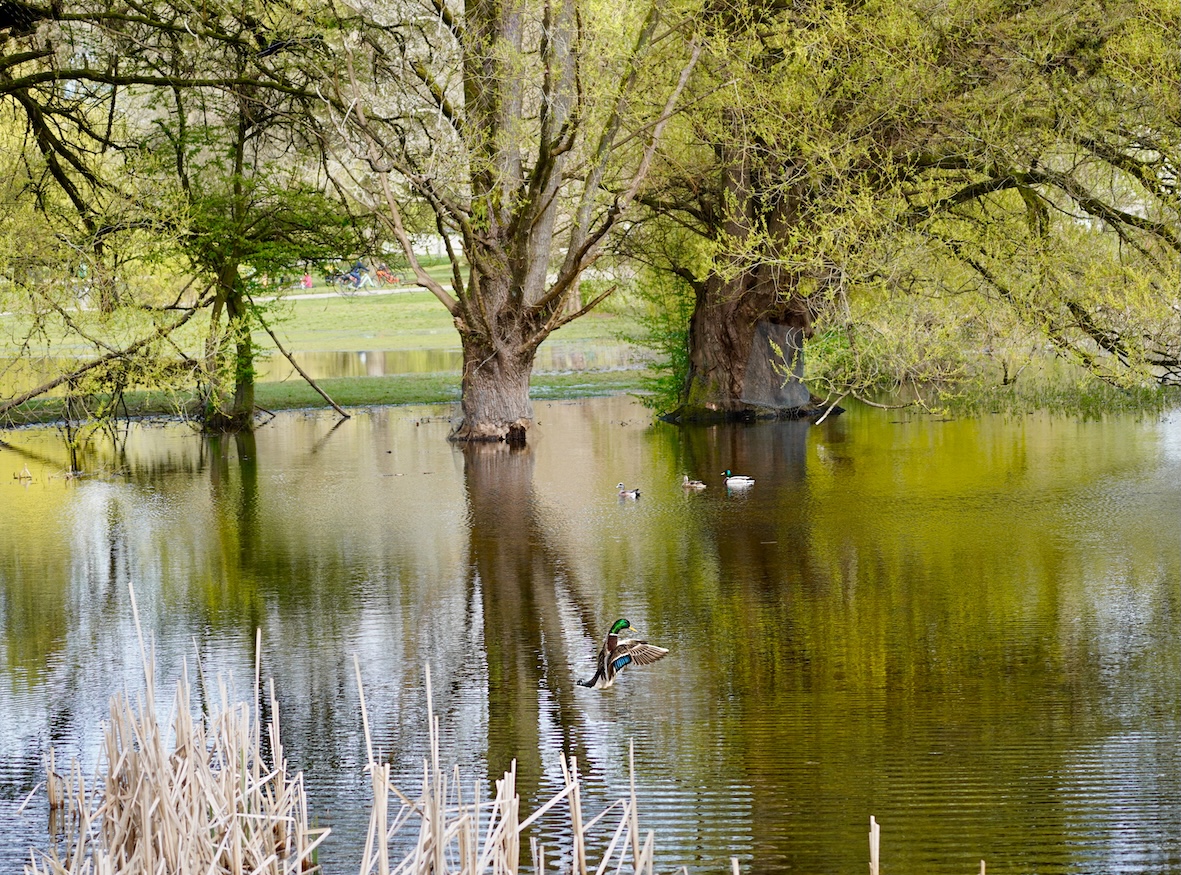 POTD February - 1 (1)_a.jpeg