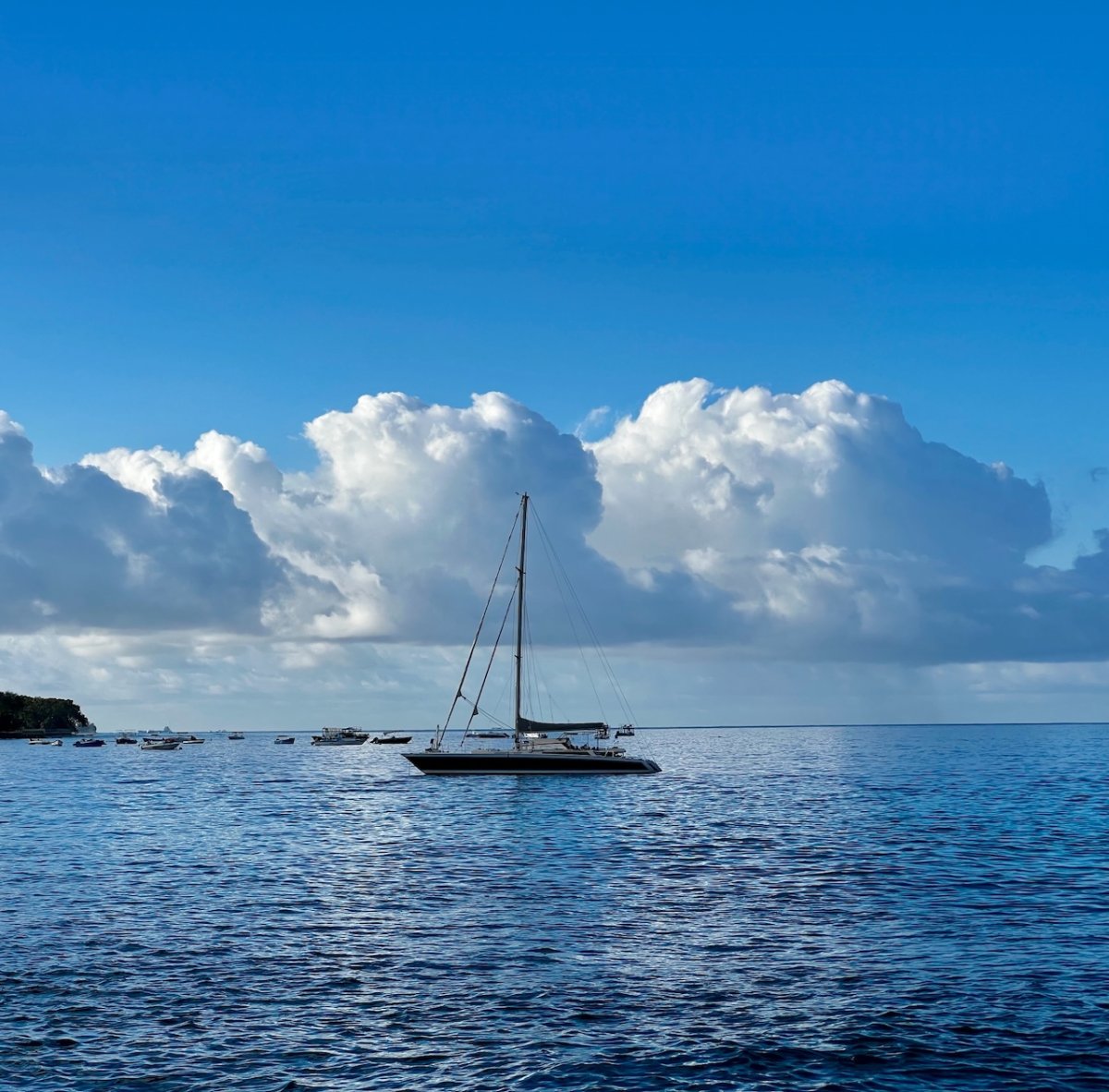 POTD February - 1_a.jpeg