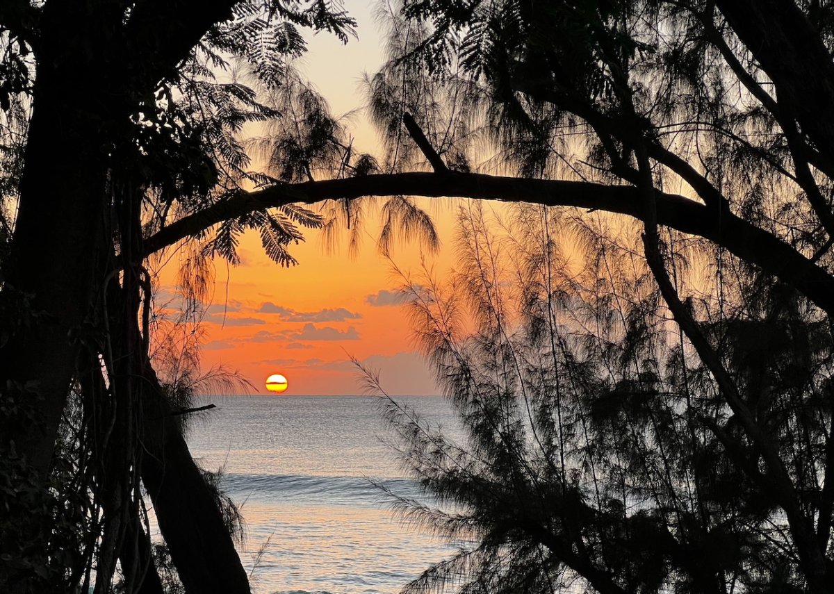 POTD February - 1_a.jpeg