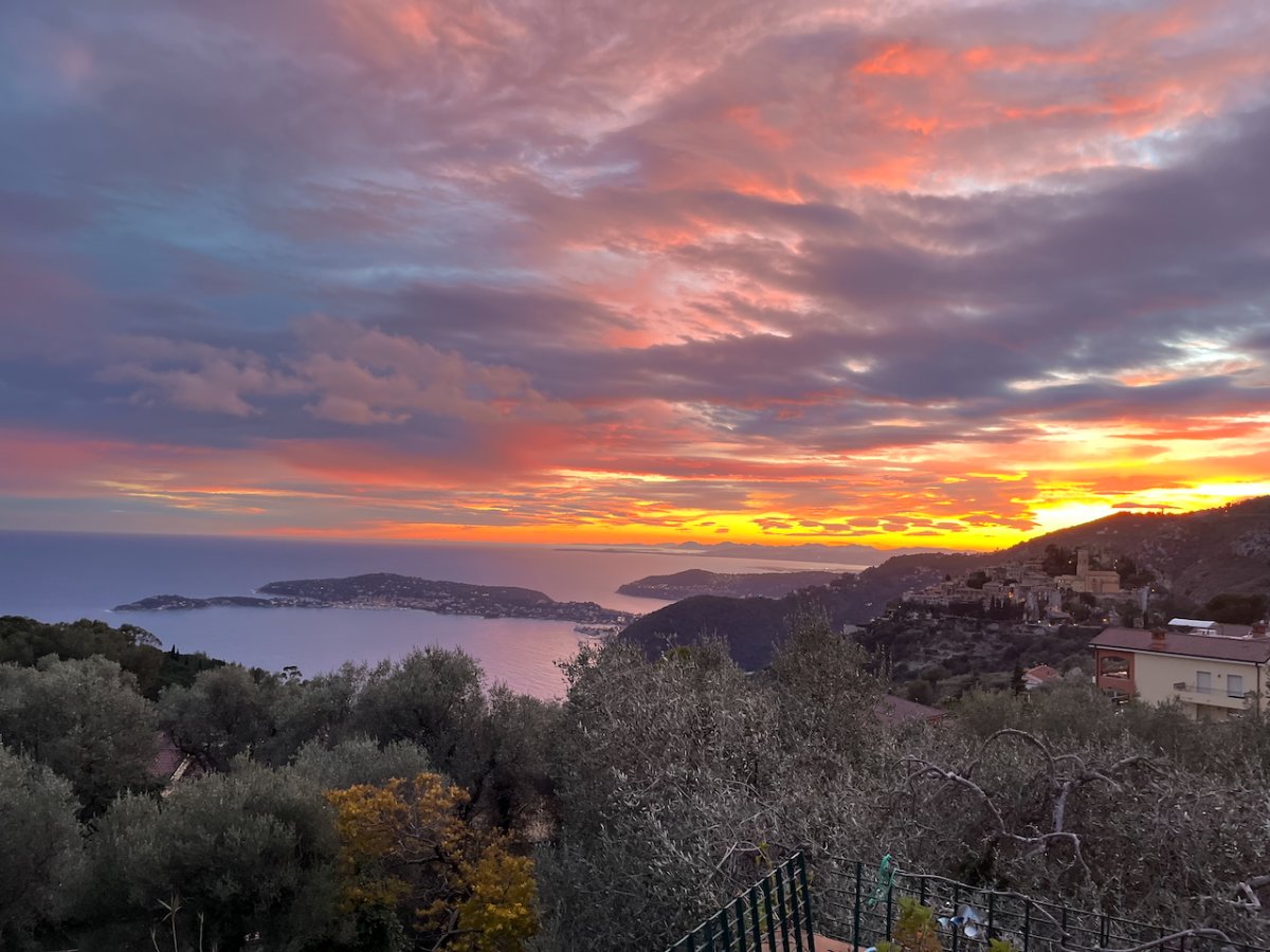 POTD February - 1_a.jpeg