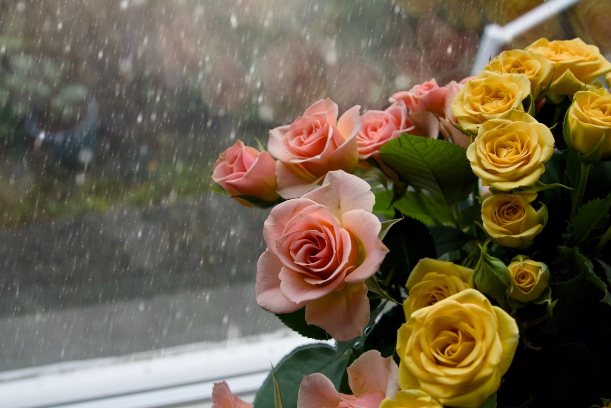 POTD February - 1_a.jpeg