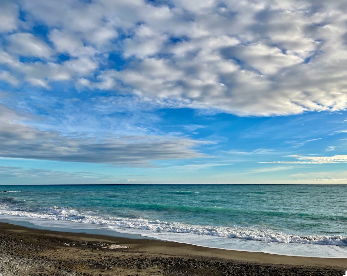 POTD February - 1_a.jpeg