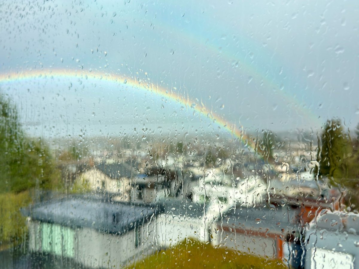 POTD February - 1_a.jpeg