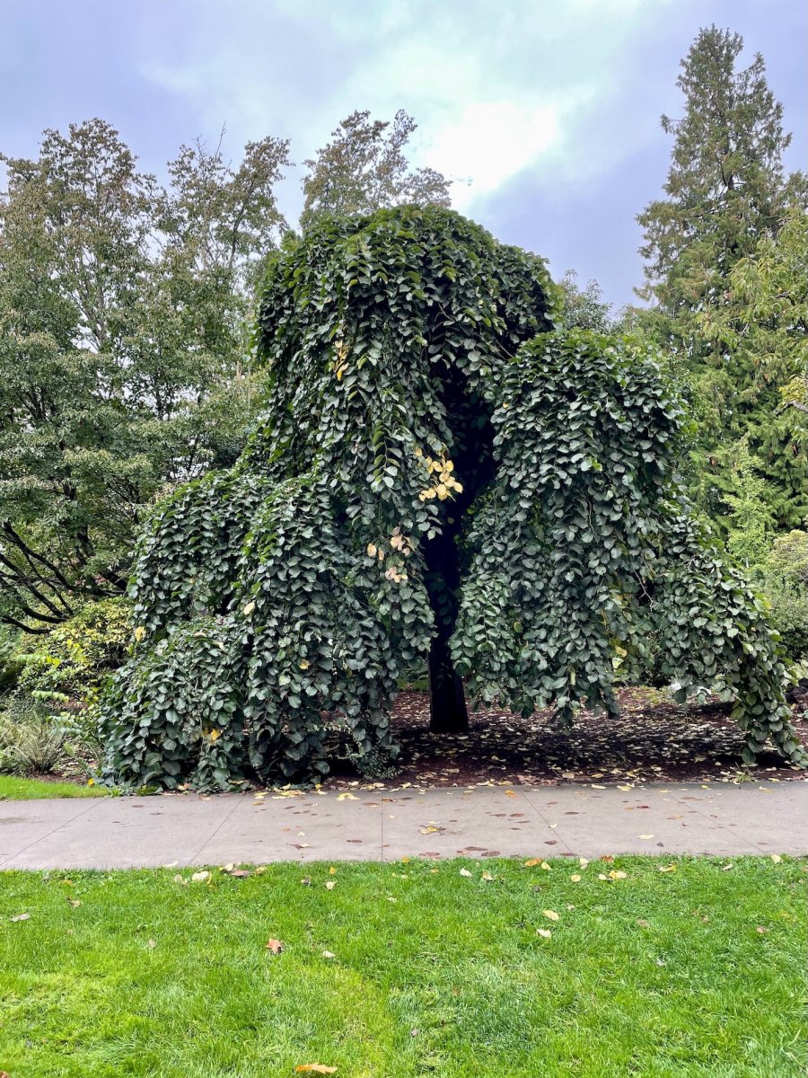 POTD January - 1 (1)_a.jpeg