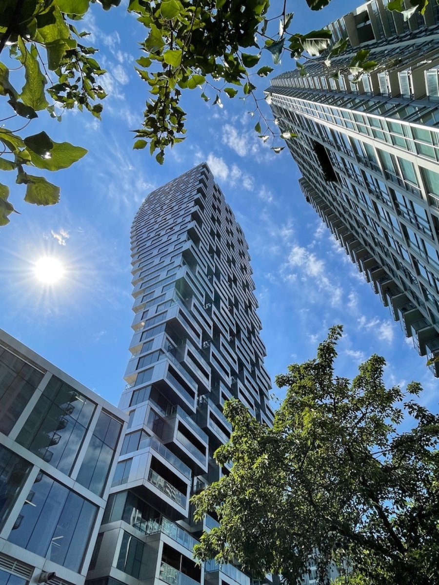 POTD January - 1_a 2.jpeg